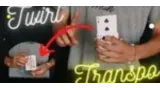 Anthony Vasquez - Twirl Transpo