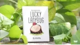 Joshua Ray & Deuce Gala Magic - Lucky Ladybug