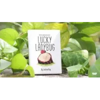 Joshua Ray & Deuce Gala Magic - Lucky Ladybug