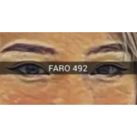 FARO 492 by TN and JJ Team (Instant Download)