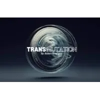 Robert Bertrance - Transmutation
