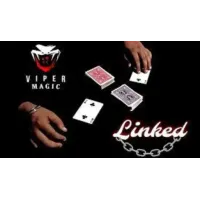 Viper Magic - Linked