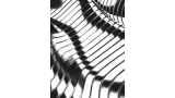 Modulo by Fraser Parker