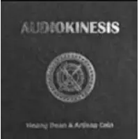 Hoang Doan Minh & Artisan Coin - Audiokinesis
