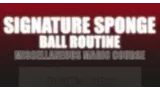 Craig Petty - Signature Sponge Ball Routine
